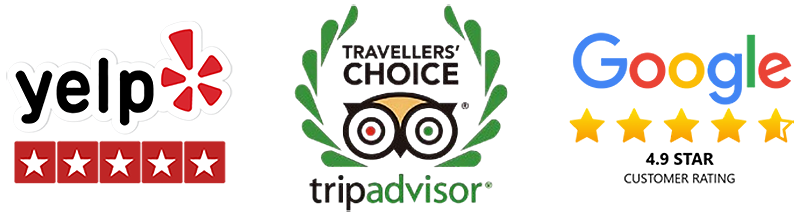 Review platform logos including Yelp and Google Reviews